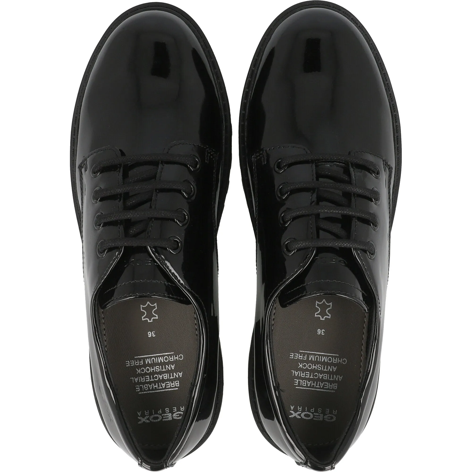 Geox Casey Black Derby School Shoes