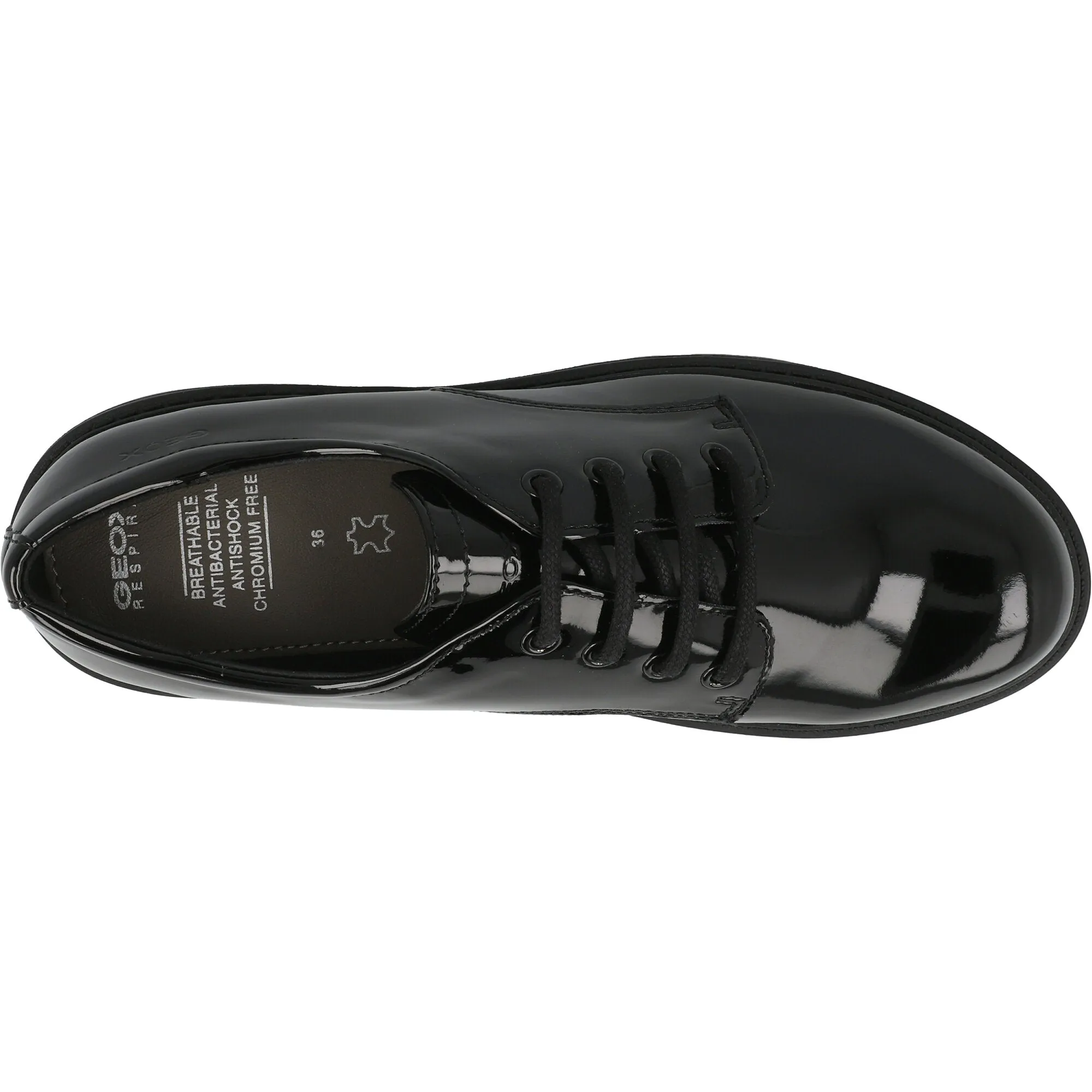 Geox Casey Black Derby School Shoes