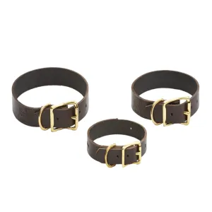 Leather Dog Collars