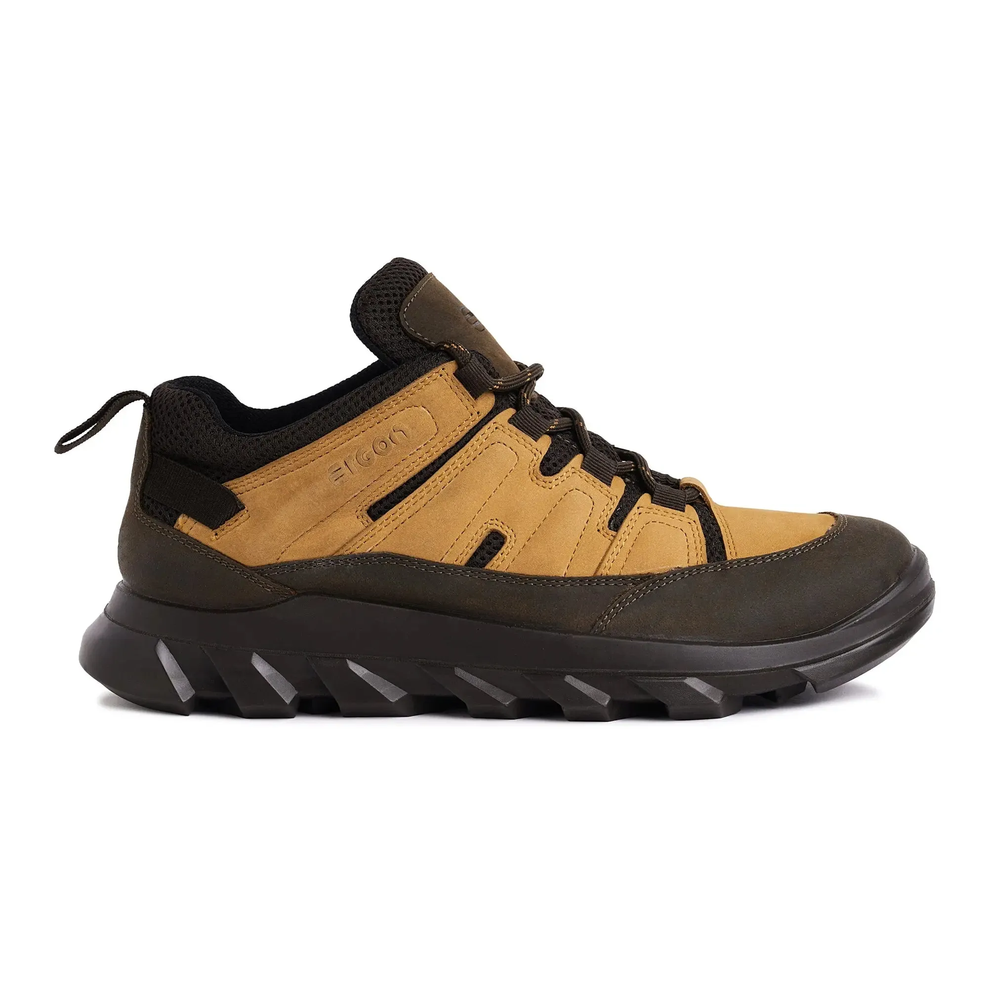 Men's brown shoes